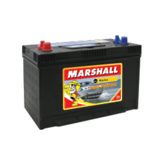 Picture of Marshall Dual Purpose MSDP31